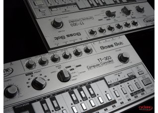 TT-303 AVAILABLE!